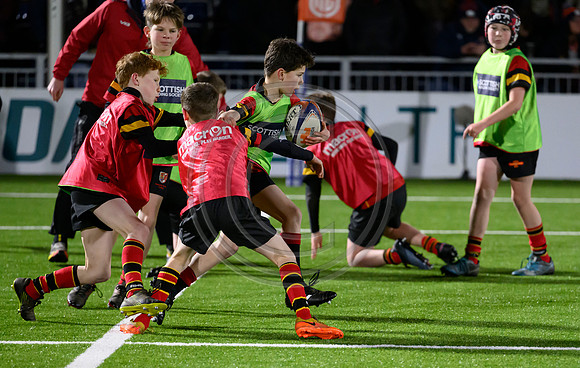 Edinburgh v Cell C Sharks