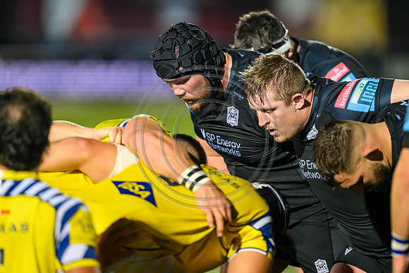 Warriors v Zebre